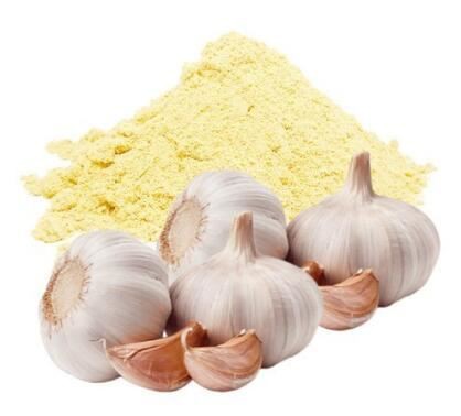 Garlic Extract