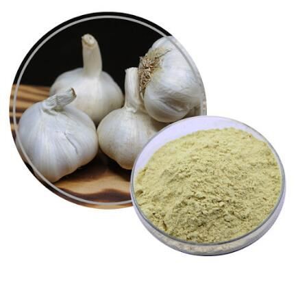 Garlic Extract-1