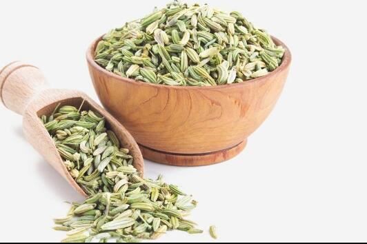 Fennel Seed Extract