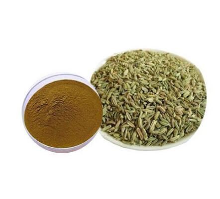 Fennel Seed Extract-1