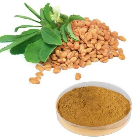 Fenugreek Seed Extract