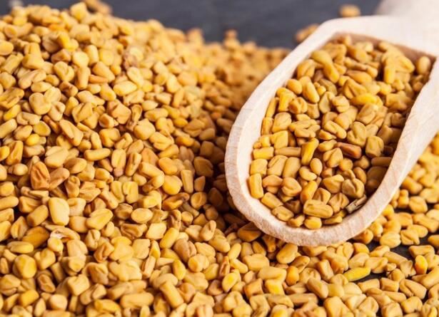 Fenugreek Seed Extract-1