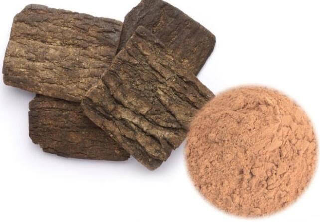 Eucommia Bark Extract-1