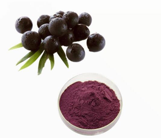 Black Elderberry Extract-1