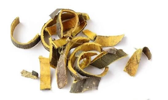 Phellodendron Amurense Bark Extract