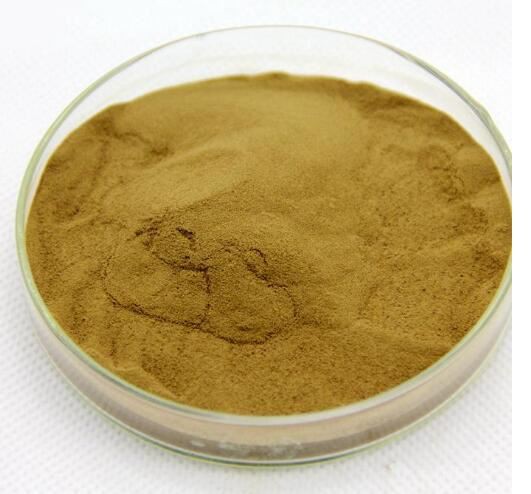 Codonopsis Extract