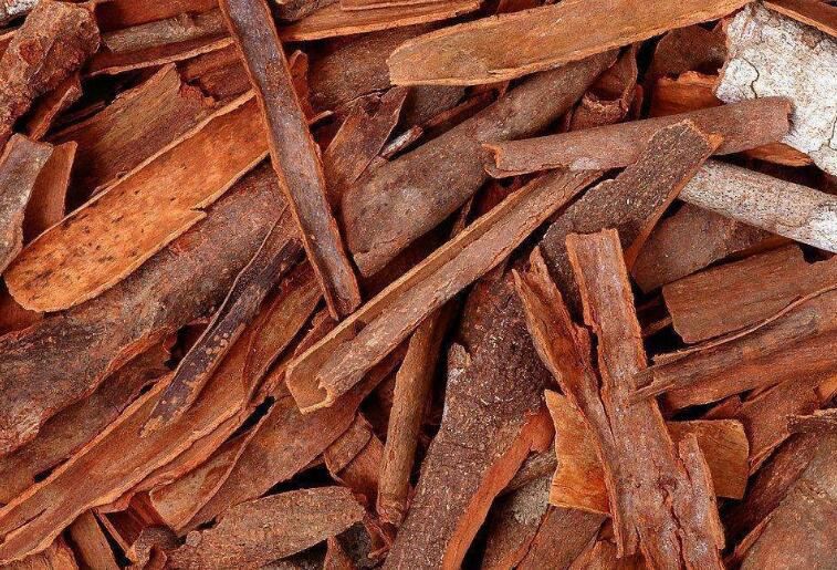 Cinnamon Bark Extract