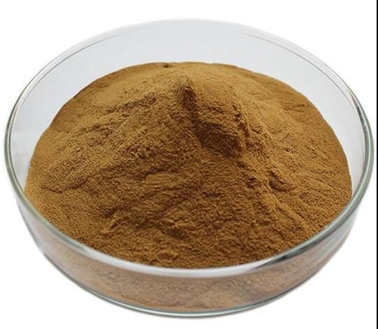 Chaga Mushroom Extract-1