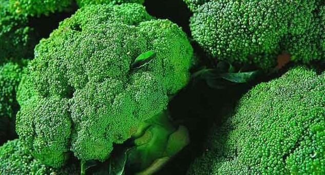 Broccoli Extract