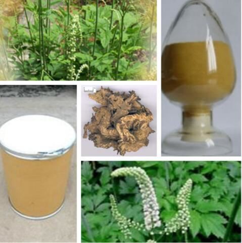 Black Cohosh Root Extract