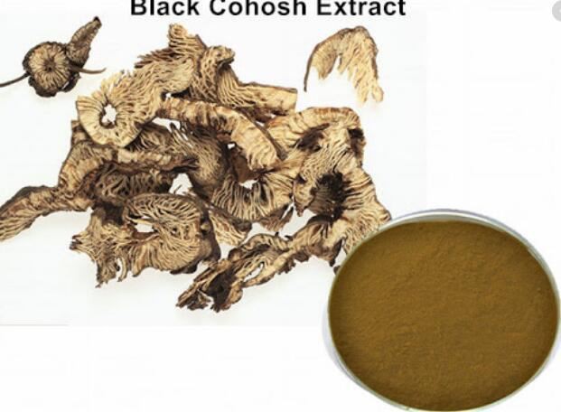 black cohosh root extract-1