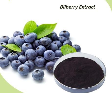 Bilberry Extract