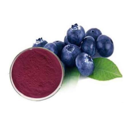 Bilberry Extract-1