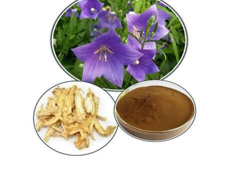 Balloon Flower Root Extract-1