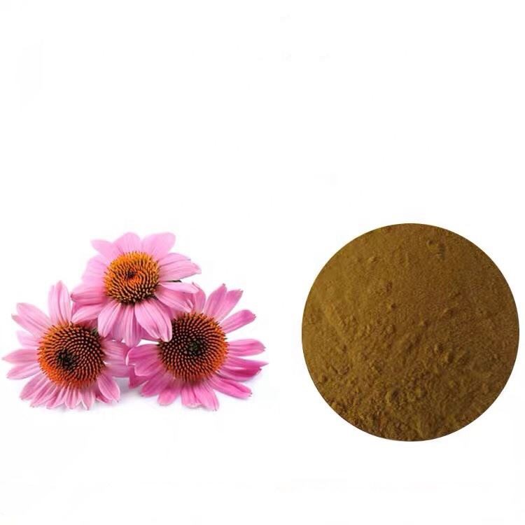 Echinacea Goldenseal Extract-1