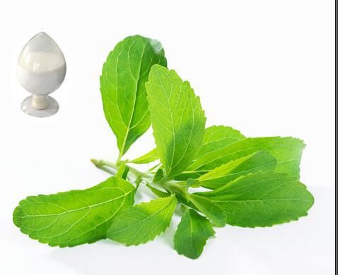 Pure Stevia Extract Powder-1