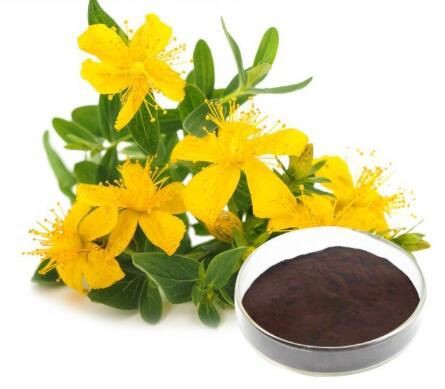 Hypericum Perforatum Extract-1