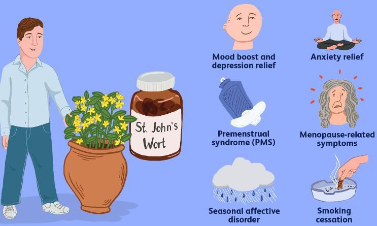 Hypericum Perforatum Extract Benefits