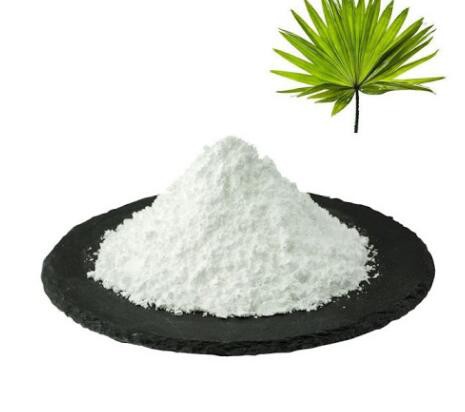 Saw Palmetto Extract-1