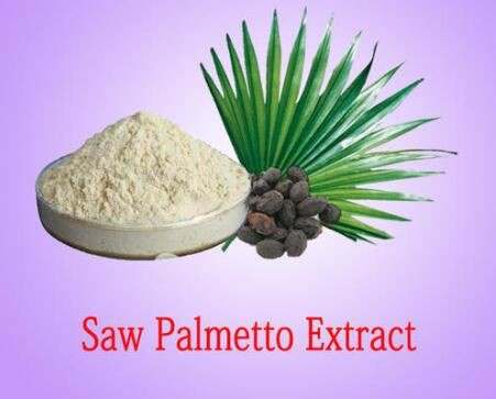 Saw Palmetto Standardized Extract-2