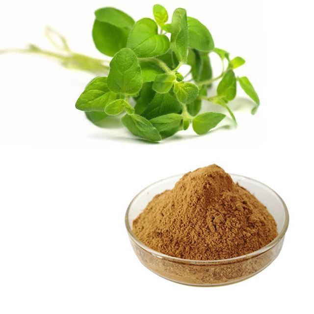 Oregano powder benefits