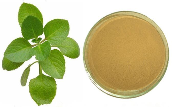 Oregano Extract-2