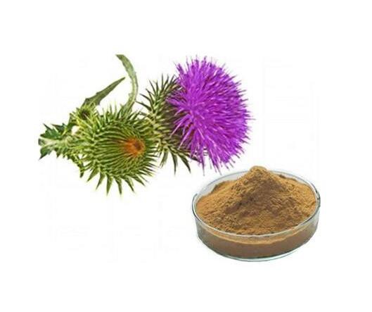 Organic Milk Thistle Powder-2