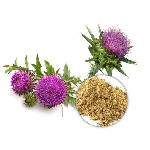 Milk Thistle Powder-1