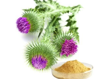 Milk Thistle Powder Bulk-1