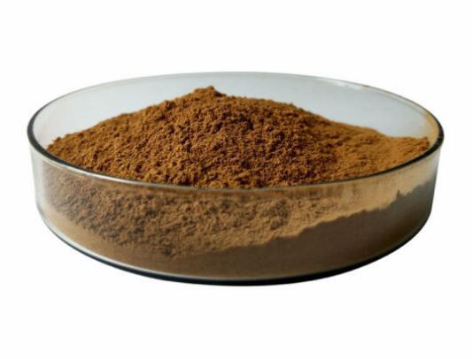 Milk Thistle Powder Bulk-2