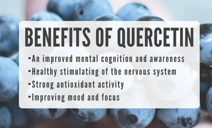 Quercetin Powder benefits
