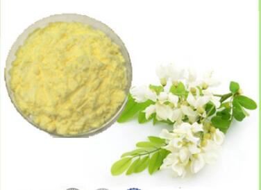 Sophora Japonica Extract-1