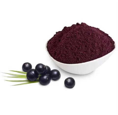 Elderberry Powder