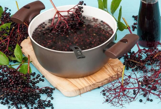 Organic Elderberry Powder Benefits