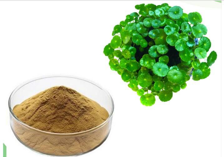 Centella Extract-1