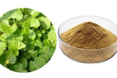 Centella Extract Benefits