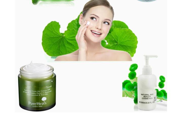 Centella Asiatica Extract Benefits