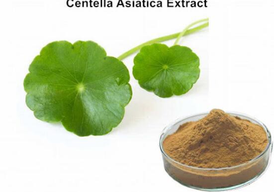 Centella Asiatic Extract Benefits