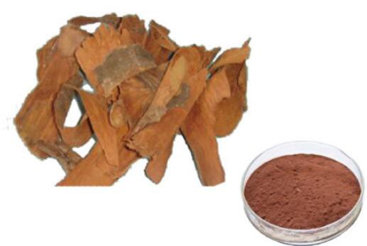 Yohimbe Extract-1