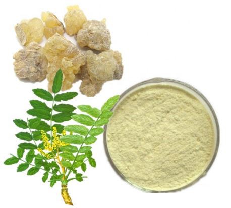 Boswellia Serrata Extract