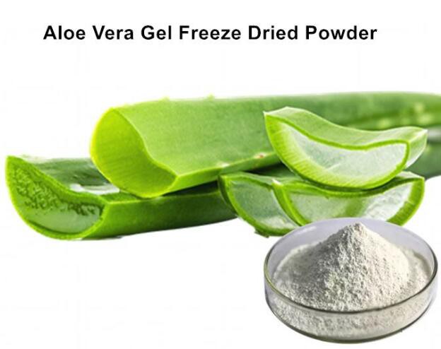 Freeze Dried Aloe Vera Powder Benefits