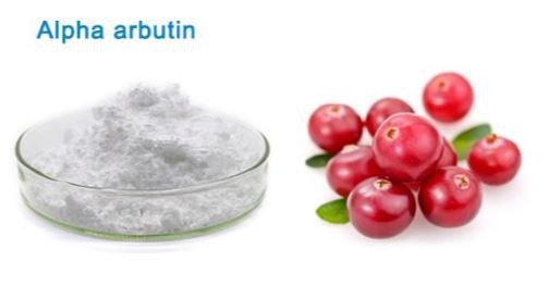 Arbutin powder-1