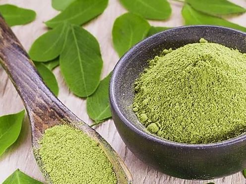 Organic Moringa Powder benefits