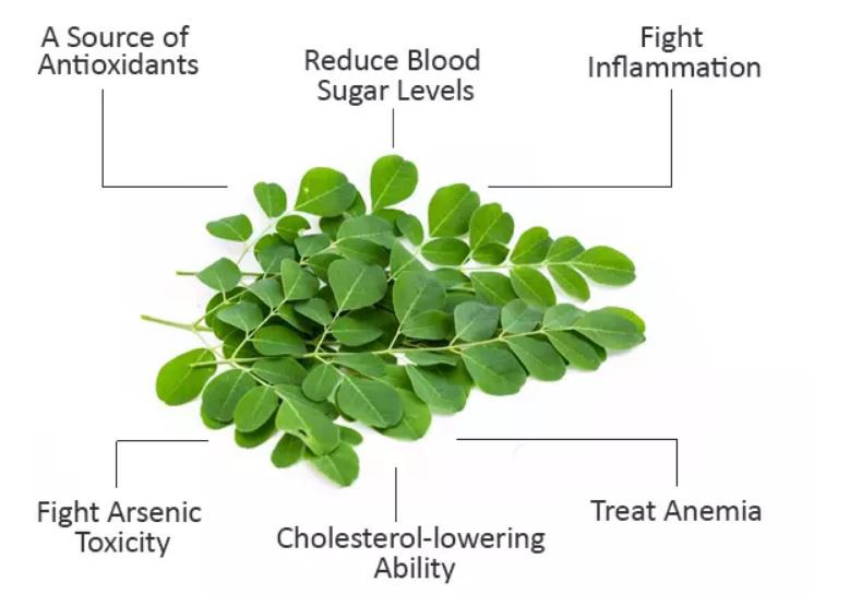 Organic Moringa Leaf Powder Benefits.png