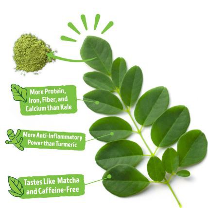 Moringa Powder benefits.png