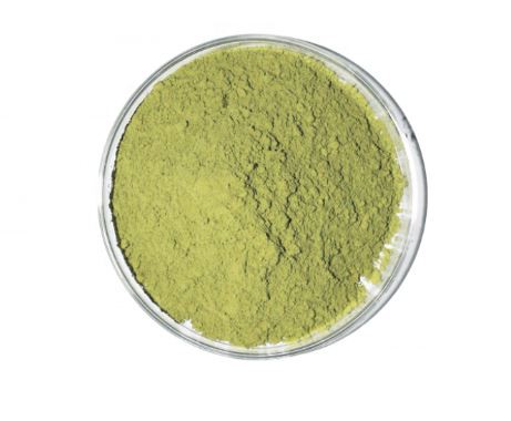 Moringa Powder-1.png