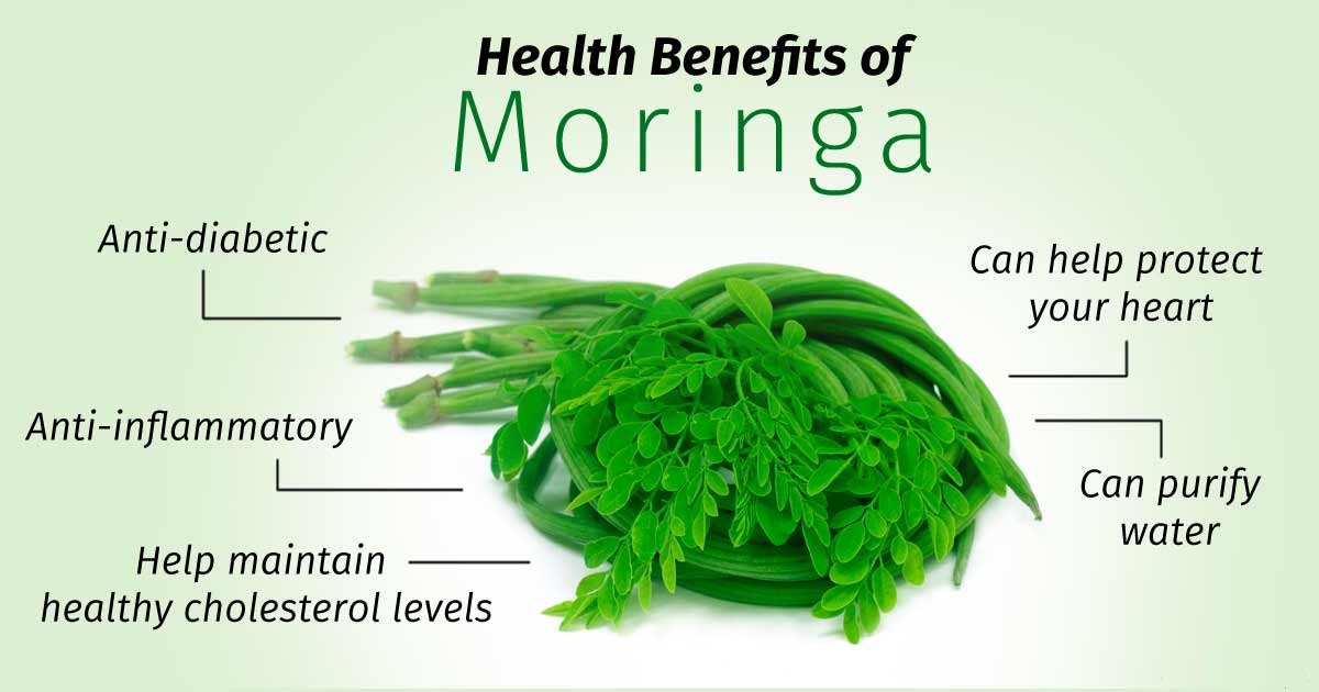 moringa leaf powder benefits