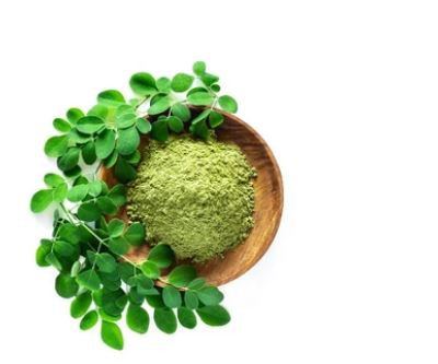 Moringa Powder for Sale-1.png