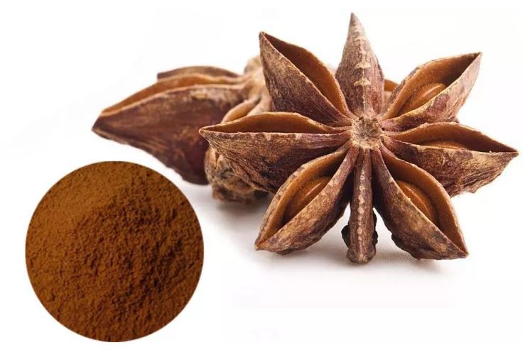 Ground star anise powder-2