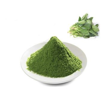 Spinach Extract Powder-1